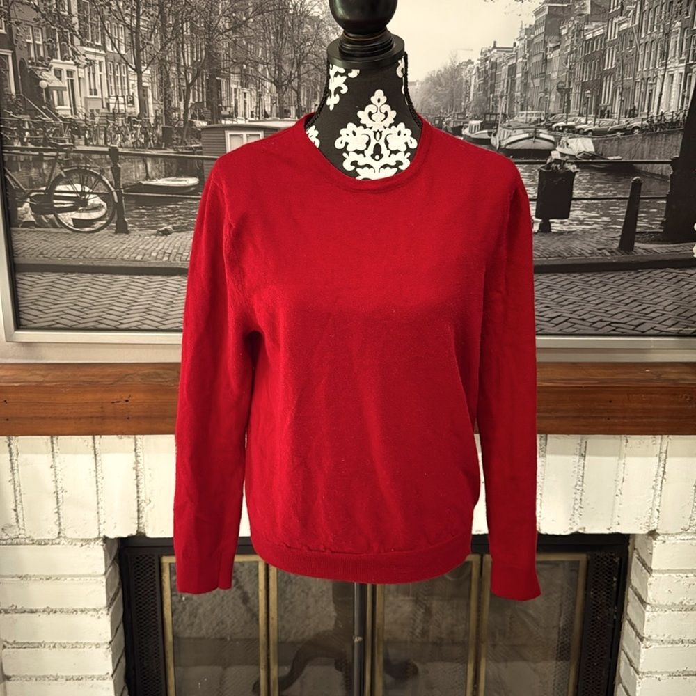 Express Women Sweater Red 100% Extra Fine Merino Wool Modern Fit Large Crewneck